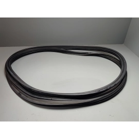 2019-25 Toyota RAV4 Trunk Back Door Liftgate Tailgate Body Weatherstrip Seal OEM