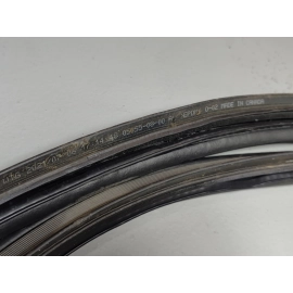 2019-25 Toyota RAV4 Trunk Back Door Liftgate Tailgate Body Weatherstrip Seal OEM