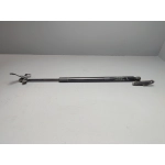 2019-2024 Toyota RAV4 Tailgate Liftgate Driver Side Lift Support Cylinder OEM