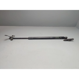 2019-2024 Toyota RAV4 Tailgate Liftgate Driver Side Lift Support Cylinder OEM