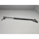 2019-2024 Toyota RAV4 Tailgate Liftgate Passenger Side Lift Support Cylinder OEM