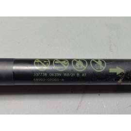 2019-2024 Toyota RAV4 Tailgate Liftgate Passenger Side Lift Support Cylinder OEM