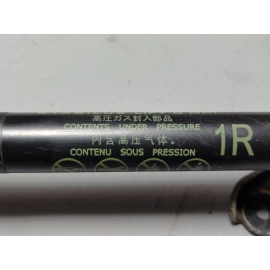 2019-2024 Toyota RAV4 Tailgate Liftgate Passenger Side Lift Support Cylinder OEM