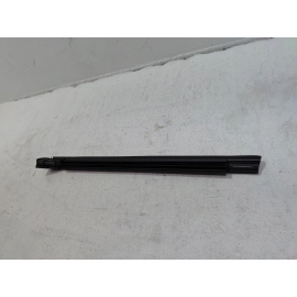 2019-2025 TOYOTA RAV4 REAR PASSENGER SIDE DOOR WINDOW BELT WEATHERSTRIP SEAL OEM