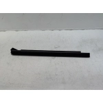 2019-2025 TOYOTA RAV4 REAR PASSENGER SIDE DOOR WINDOW BELT WEATHERSTRIP SEAL OEM