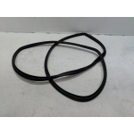 2019-2024 TOYOTA RAV4 REAR RIGHT PASSENGER SIDE DOOR BODY WEATHERSTRIP SEAL OEM