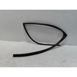 2019-2025 TOYOTA RAV4 REAR PASSENGER SIDE DOOR WINDOW GLASS RUN CHANNEL SEAL OEM
