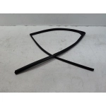 2019-2025 TOYOTA RAV4 REAR PASSENGER SIDE DOOR WINDOW GLASS RUN CHANNEL SEAL OEM