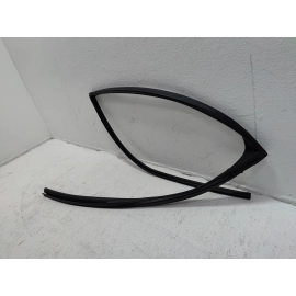 2019-2025 TOYOTA RAV4 REAR PASSENGER SIDE DOOR WINDOW GLASS RUN CHANNEL SEAL OEM