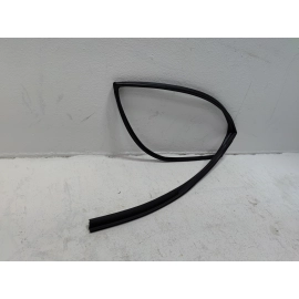 2019-2025 TOYOTA RAV4 REAR PASSENGER SIDE DOOR WINDOW GLASS RUN CHANNEL SEAL OEM
