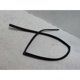 2019-2025 TOYOTA RAV4 REAR PASSENGER SIDE DOOR WINDOW GLASS RUN CHANNEL SEAL OEM