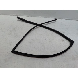 2019-2025 TOYOTA RAV4 REAR PASSENGER SIDE DOOR WINDOW GLASS RUN CHANNEL SEAL OEM