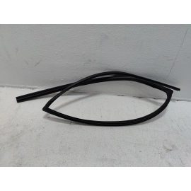 2019-2025 TOYOTA RAV4 REAR PASSENGER SIDE DOOR WINDOW GLASS RUN CHANNEL SEAL OEM
