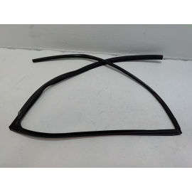 Honda Pilot Rear Left Driver Door Window Glass Run Channel Seal 2016-2022 OEM