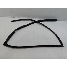 Honda Pilot Rear Left Driver Door Window Glass Run Channel Seal 2016-2022 OEM