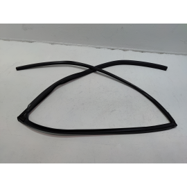 Honda Pilot Rear Left Driver Door Window Glass Run Channel Seal 2016-2022 OEM