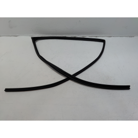 Honda Pilot Rear Left Driver Door Window Glass Run Channel Seal 2016-2022 OEM