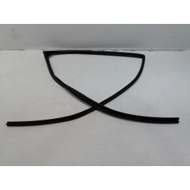 Honda Pilot Rear Left Driver Door Window Glass Run Channel Seal 2016-2022 OEM