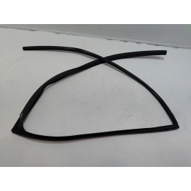Honda Pilot Rear Left Driver Door Window Glass Run Channel Seal 2016-2022 OEM