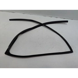 Honda Pilot Rear Left Driver Door Window Glass Run Channel Seal 2016-2022 OEM