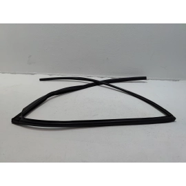 Honda Pilot Rear Left Driver Door Window Glass Run Channel Seal 2016-2022 OEM