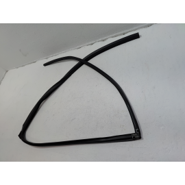 Honda Pilot Rear Left Driver Door Window Glass Run Channel Seal 2016-2022 OEM