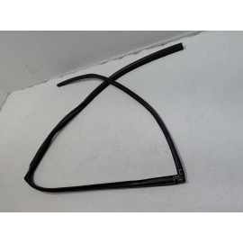 Honda Pilot Rear Left Driver Door Window Glass Run Channel Seal 2016-2022 OEM