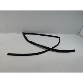 Honda Pilot Rear Left Driver Door Window Glass Run Channel Seal 2016-2022 OEM