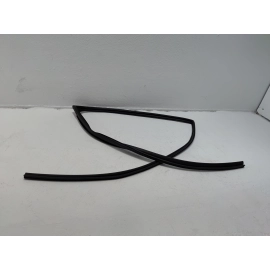 Honda Pilot Rear Left Driver Door Window Glass Run Channel Seal 2016-2022 OEM