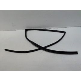 Honda Pilot Rear Left Driver Door Window Glass Run Channel Seal 2016-2022 OEM