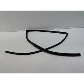 Honda Pilot Rear Left Driver Door Window Glass Run Channel Seal 2016-2022 OEM