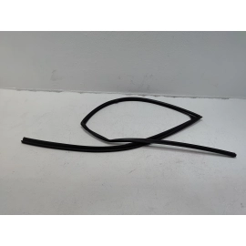 2016 - 2022 HONDA PILOT FRONT DRIVER SIDE DOOR WINDOW GLASS RUN CHANNEL SEAL OEM