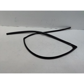 2016 - 2022 HONDA PILOT FRONT DRIVER SIDE DOOR WINDOW GLASS RUN CHANNEL SEAL OEM