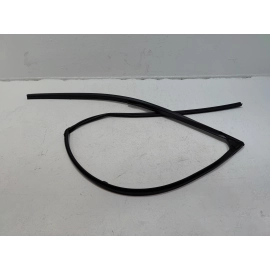 2016 - 2022 HONDA PILOT FRONT DRIVER SIDE DOOR WINDOW GLASS RUN CHANNEL SEAL OEM