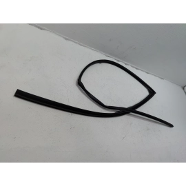 2016 - 2022 HONDA PILOT FRONT DRIVER SIDE DOOR WINDOW GLASS RUN CHANNEL SEAL OEM