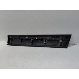 2019-2022 HONDA PILOT FRONT LEFT DRIVER SIDE DOOR LOWER MOLDING GARNISH OEM