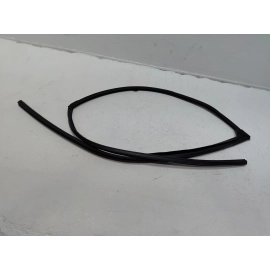 HONDA PILOT FRONT PASSENGER SIDE DOOR WINDOW GLASS RUN CHANNEL SEAL 2016-21 OEM