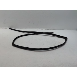 HONDA PILOT FRONT PASSENGER SIDE DOOR WINDOW GLASS RUN CHANNEL SEAL 2016-21 OEM