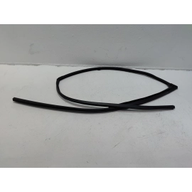 HONDA PILOT FRONT PASSENGER SIDE DOOR WINDOW GLASS RUN CHANNEL SEAL 2016-21 OEM