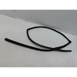 HONDA PILOT FRONT PASSENGER SIDE DOOR WINDOW GLASS RUN CHANNEL SEAL 2016-21 OEM