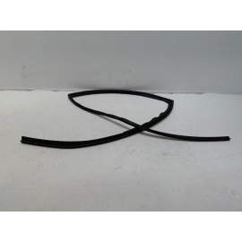 2016-2022 HONDA PILOT REAR RIGHT DOOR GLASS RUN CHANNEL WEATHERSTRIP SEAL OEM
