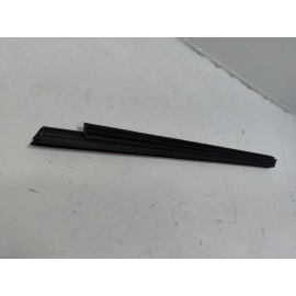 2019-25 Toyota RAV4 Front Passenger Door Window Belt Inner Weatherstrip Seal OEM