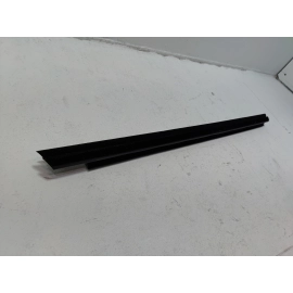 2019-25 Toyota RAV4 Front Passenger Door Window Belt Inner Weatherstrip Seal OEM