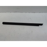 2019-25 Toyota RAV4 Front Passenger Door Window Belt Inner Weatherstrip Seal OEM