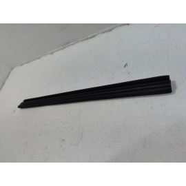 2019-25 Toyota RAV4 Front Passenger Door Window Belt Inner Weatherstrip Seal OEM