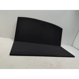 2019-2025 Toyota RAV4 Trunk Cargo Compartment Spare Wheel Floor Carpet Cover OEM