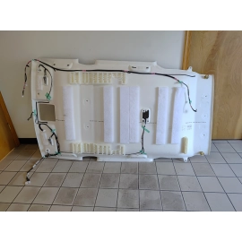 2019-2022 TOYOTA RAV4 INTERIOR ROOF HEADLINER OEM