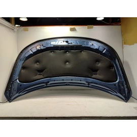 2016-2019 Ford Explorer Hood Bonnet Shell Cover Panel *FT* OEM Blue Metallic
