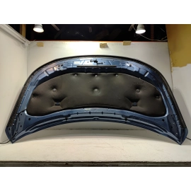 2016-2019 Ford Explorer Hood Bonnet Shell Cover Panel *FT* OEM Blue Metallic