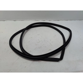 2018-2024 TOYOTA CAMRY REAR PASSENGER DOOR ON BODY WEATHERSTRIP INNER SEAL OEM